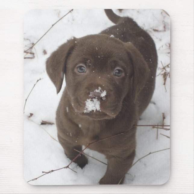 Tapis De Souris Sosa Lakota (Devant)