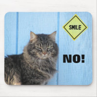 Souriez ? Non! Mème de chat
