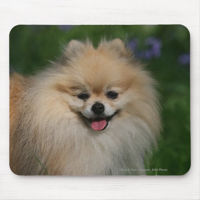 Tapis De Souris Sourire de Pomeranian (Devant)
