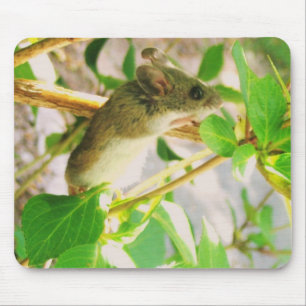 Tapis De Souris Souris