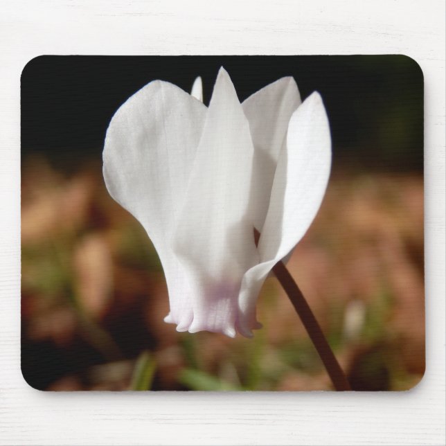 Tapis De Souris Souris blanc Cyclamen (Devant)