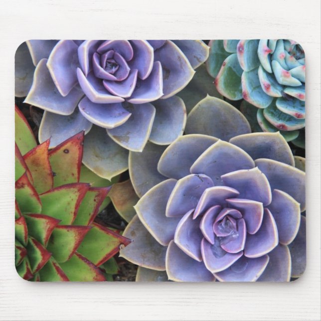 Tapis De Souris Souris Bouquet Succulente (Devant)