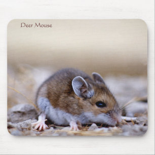 Tapis De Souris Souris de cerfs sur un mousepad
