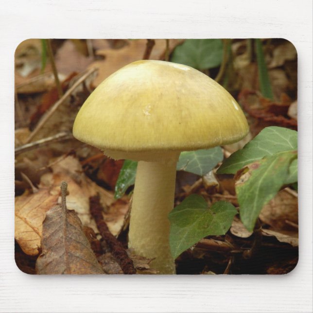 Tapis De Souris Souris de champignons de la cascade de mort (Devant)