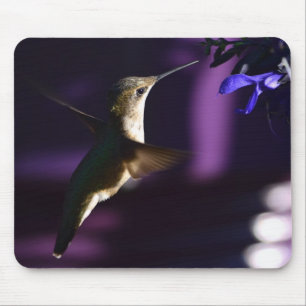 Tapis De Souris Souris de colibri