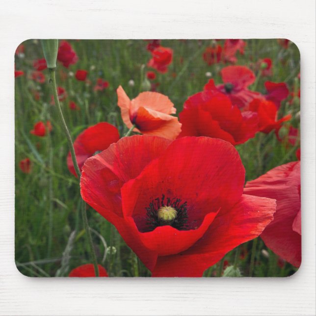 Tapis De Souris Souris de la souris du champ de pavot (Devant)