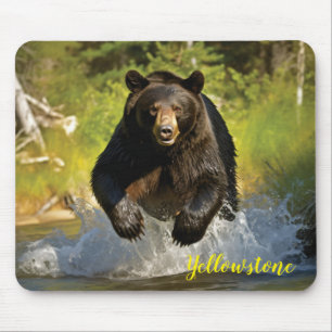 Tapis De Souris Souris de l'ours jaune