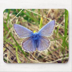 Tapis De Souris Souris de papillon bleu commun