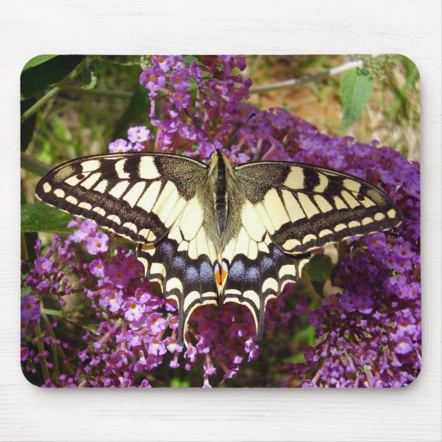 Tapis De Souris Souris de papillon Swallowtail (Devant)