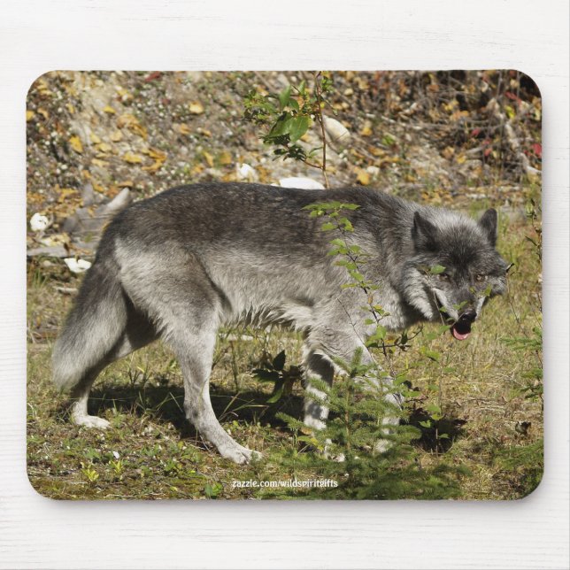 Tapis De Souris Souris de souris de loup gris (Devant)