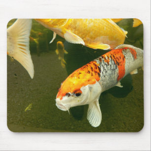 Tapis De Souris Souris Koi Carp