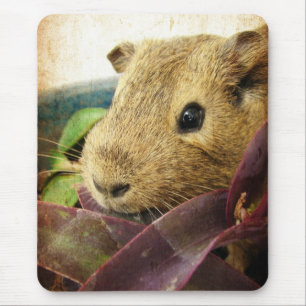 Tapis De Souris Souris le cochon de Guinée