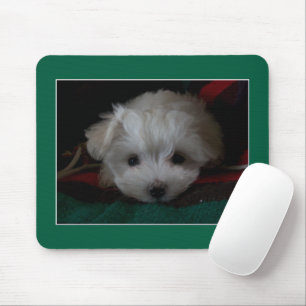 Tapis De Souris Souris Maltais aux yeux de chiot