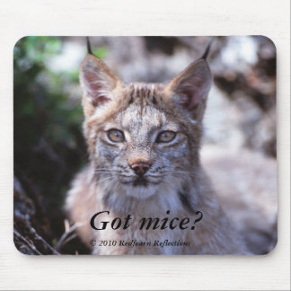 Tapis De Souris Souris obtenues ? ,