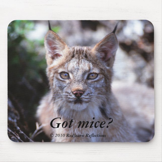 Tapis De Souris Souris obtenues ? , (Devant)