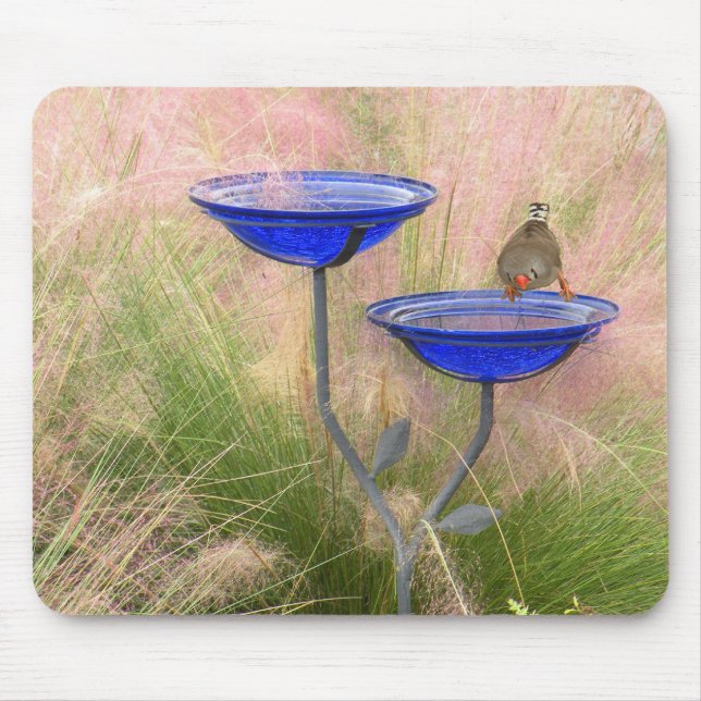 Tapis De Souris Souris Pad Oiseau Bain & Finition (Devant)