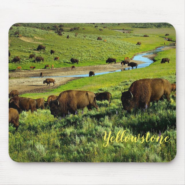 Tapis De Souris Souris Pad-Yellowstone Buffalo (Devant)
