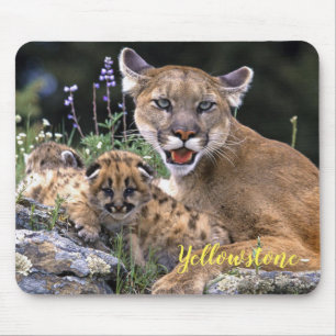 Tapis De Souris Souris Pad-Yellowstone Mountain Lion