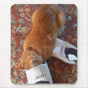 Tapis De Souris souris pavé ginger cat cool