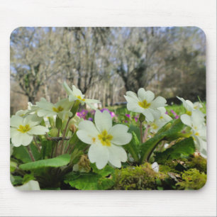 Tapis De Souris Souris Primrose
