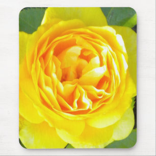 Tapis De Souris Souris rose jaune