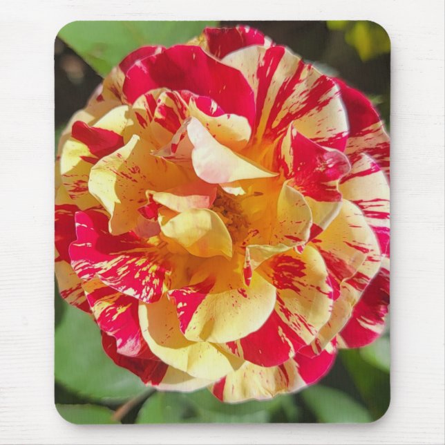 Tapis De Souris Souris rouge et rose jaune (Devant)