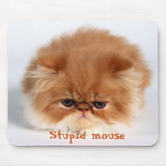 Tapis De Souris Souris Stupide (Devant)