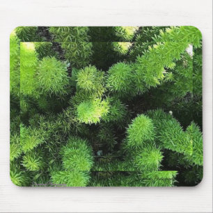 Tapis De Souris Souris verte