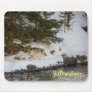 Tapis De Souris Souris-Yellowstone Coyote