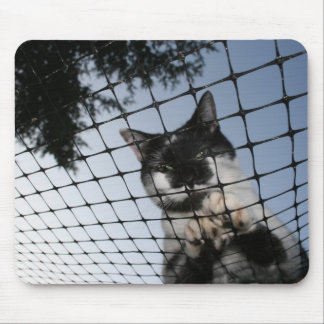Tapis De Souris Soutenez le chat au coucher du soleil Mousepad