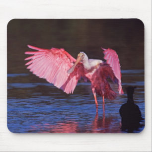 Tapis De Souris Spatule rosée (Ajaia ajaja) avec Cormoran