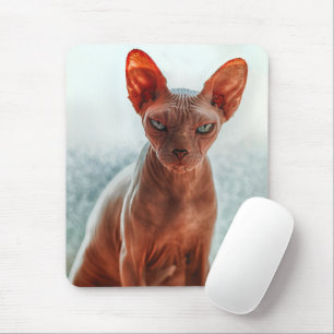 Tapis De Souris Sphynx sans cheveux