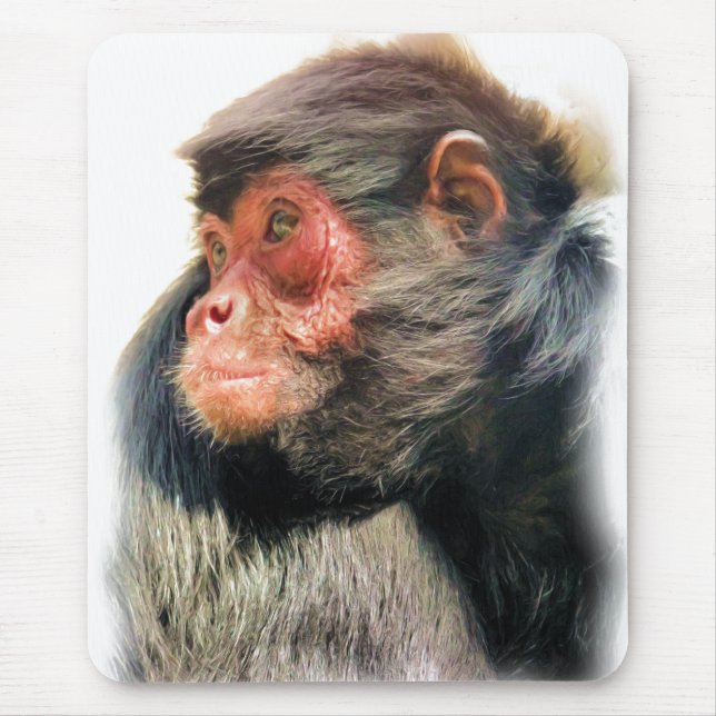 TAPIS DE SOURIS SPIDER MONKEY (Devant)