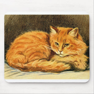Tapis De Souris Spirit, un chat de beauté gingembre