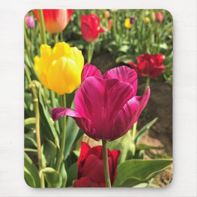 Tapis De Souris Spring tulips, Oregon (Devant)