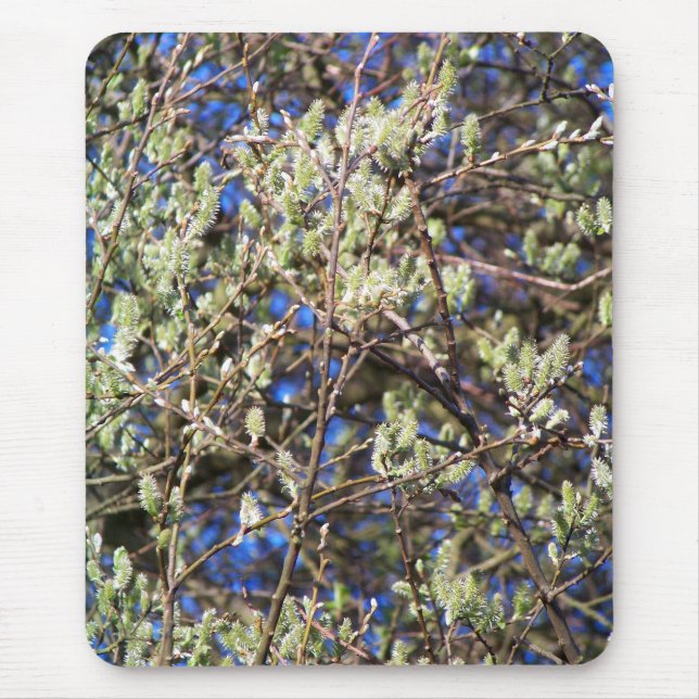 TAPIS DE SOURIS SPRING WILLOW (Devant)