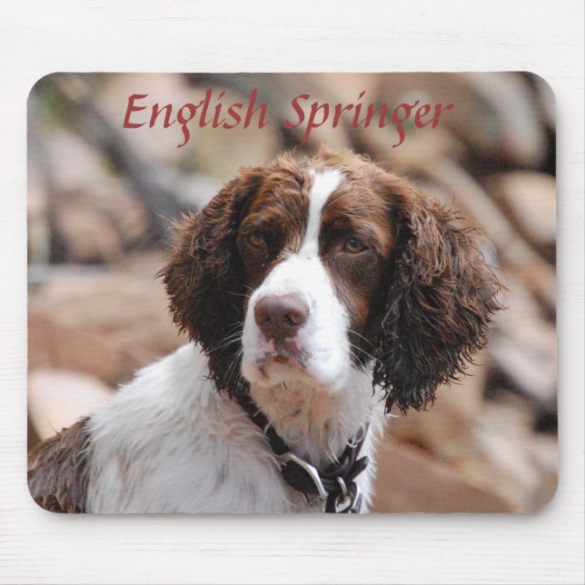 Tapis De Souris Springer anglais Mousepad (Devant)