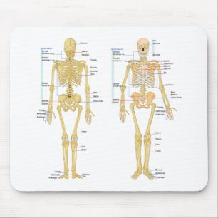 Tapis De Souris Squelette humain marqué diagramme d'anatomie