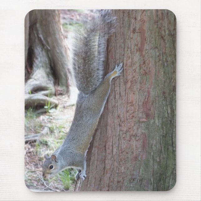 Tapis De Souris Squirel Souris (Devant)