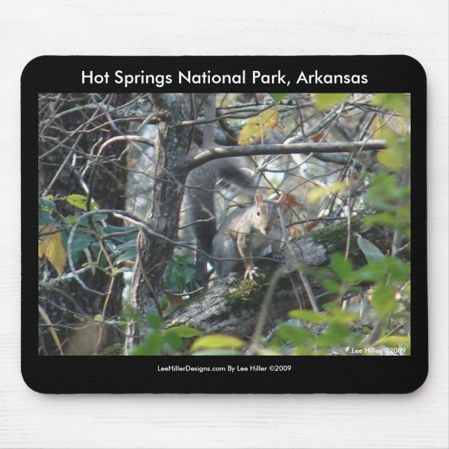 Tapis De Souris Squirrel Hot Springs Nat'l Park Mt, AR Peak Trail (Devant)