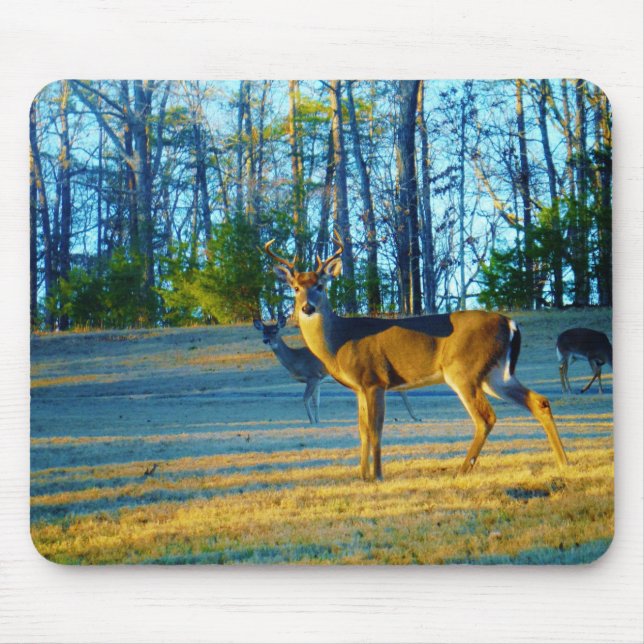 Tapis De Souris Stade / Buck Deer, Ciel bleu clair (Devant)