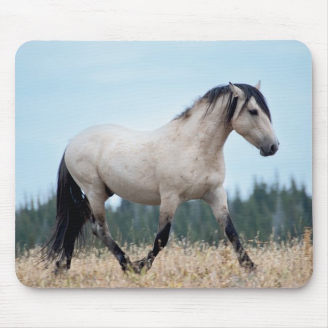 Tapis De Souris Stallion Wild Mustang (Devant)