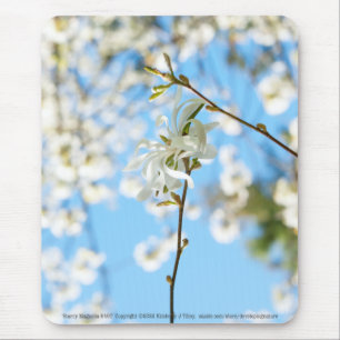 Tapis De Souris Starry Magnolia 6490