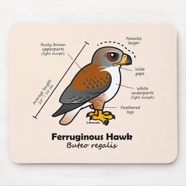 Tapis De Souris Statistiques ferrugineuses de faucon (Devant)
