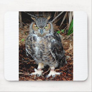 Tapis De Souris Stern Owl