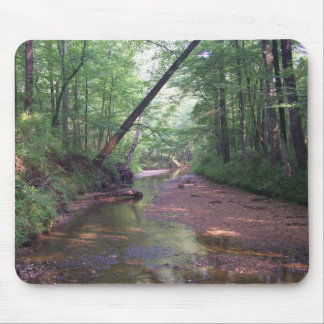 Tapis De Souris Streambed
