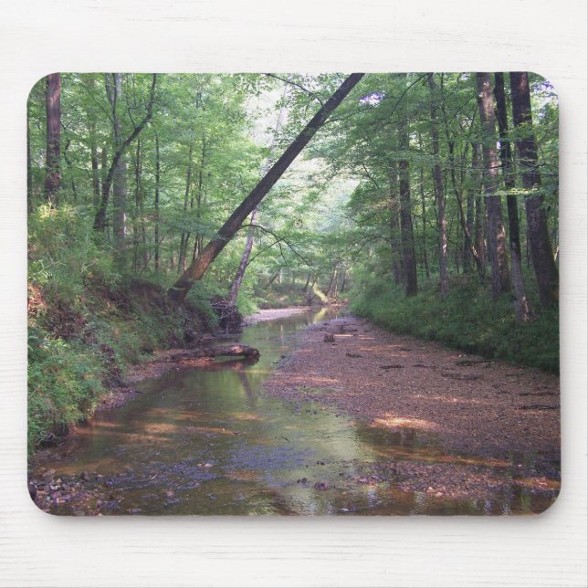 Tapis De Souris Streambed (Devant)
