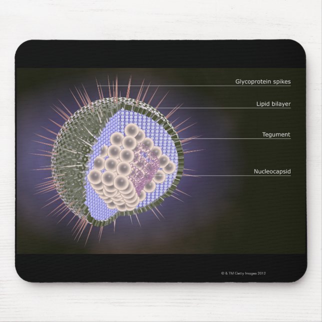 Tapis De Souris Structure du virus Herpes (Devant)