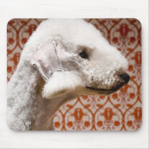 Tapis De Souris Studio tiré de Bedlington Terrier