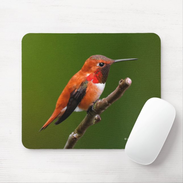 Tapis De Souris Stunning Ruf Hummingbird on the Cherry Tree (Avec souris)